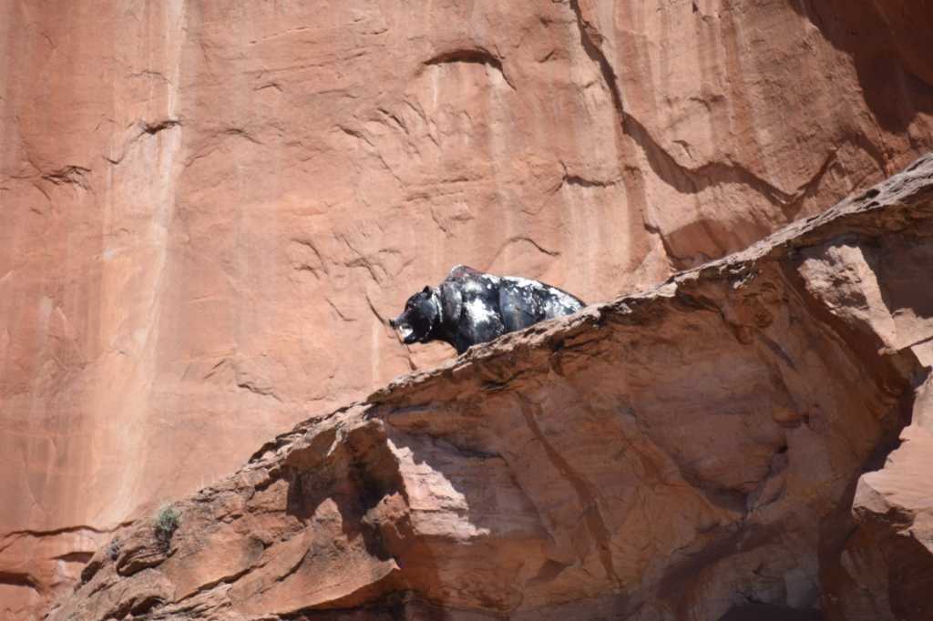 DSC_0025Mittel_.JPG